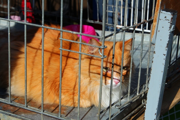 D74177C6-65C1-48DD-BC93-B2BB49EEC7DD