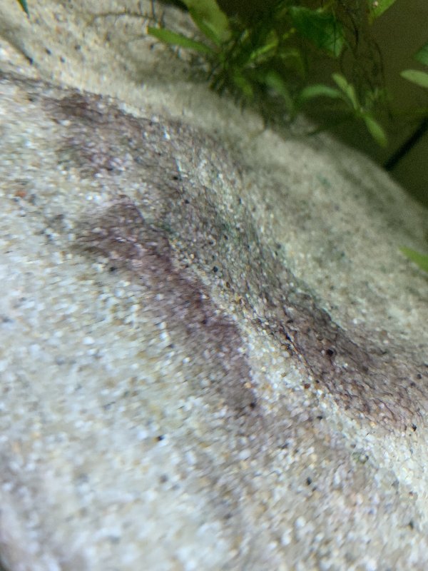 7CECB3F8-5D96-4AF7-9902-3A25128B98F1