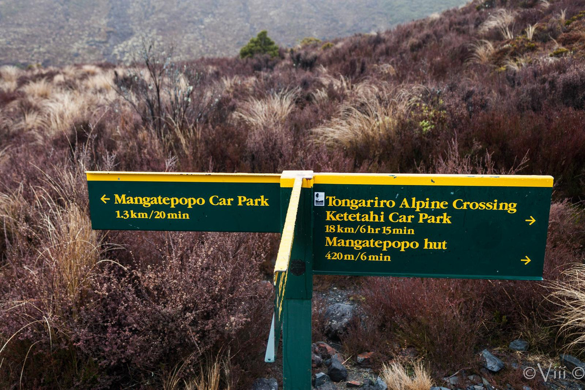 Día 4. Tongariro Alpine Crossing - Nueva Zelanda/Islas Cook - Viaje de novios a la Tierra Media (1)