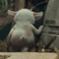 ned-dejected-animated.gif