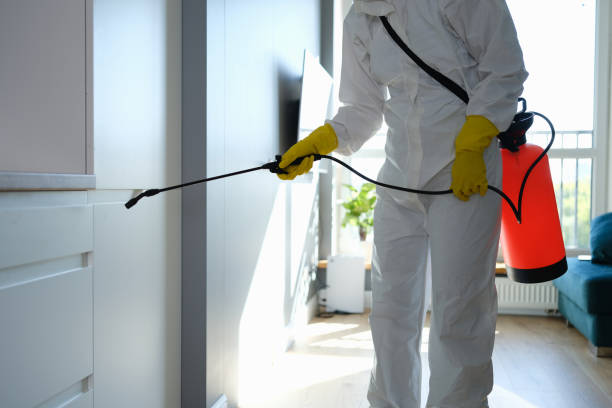 pest extermination