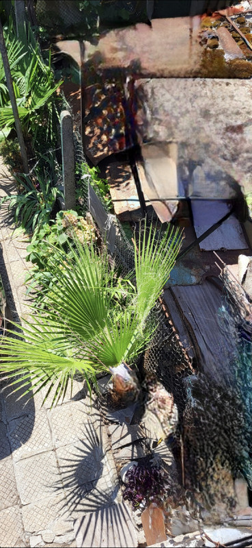 Screenshot_20221216_123230_Gallery