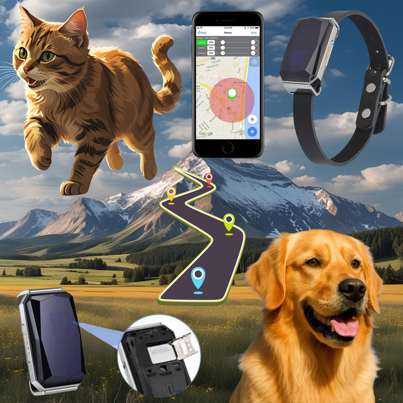 Traceur GPS animal 1