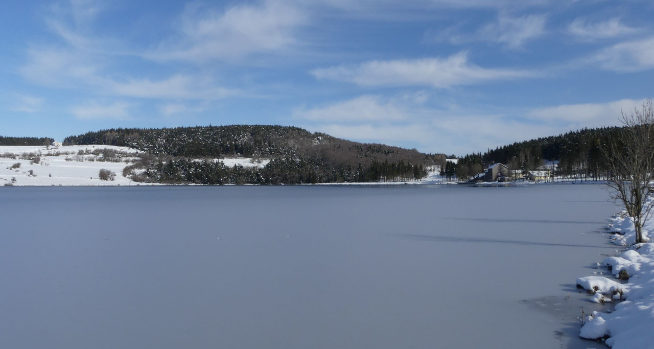 P1100181.jpg