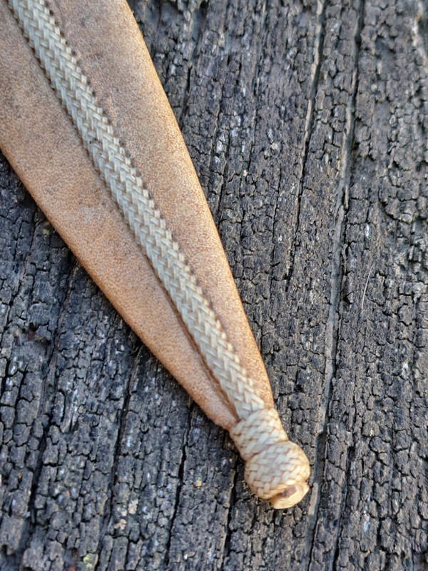 WhatsApp Image 2023-07-06 at 20.29.36 (4)