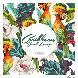 Caribbean Beach Lounge Vol. 11 (2019) .mp3 - 320 kbps