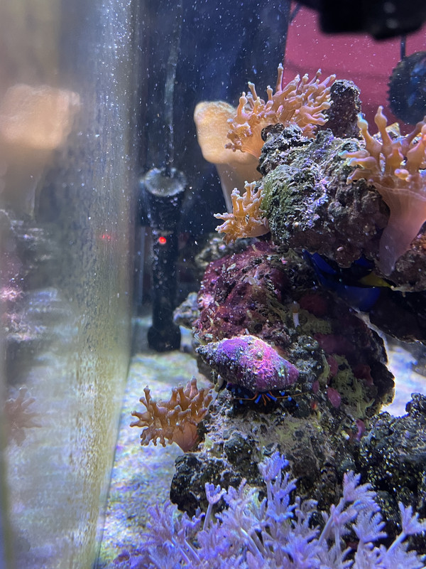 D32C40AF-0B34-470C-B48C-04A85FFA6FB8