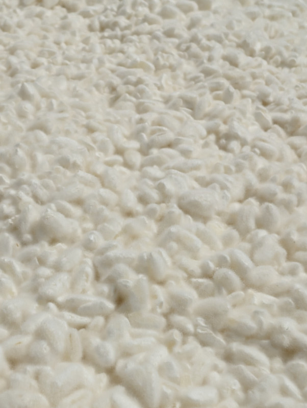 PXL_20240107_211832312