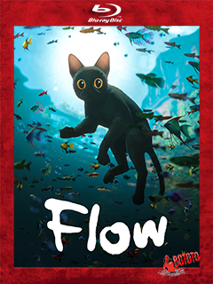 Flow.2024.Retail.Frances.BD25