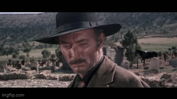 8qwi2p.gif