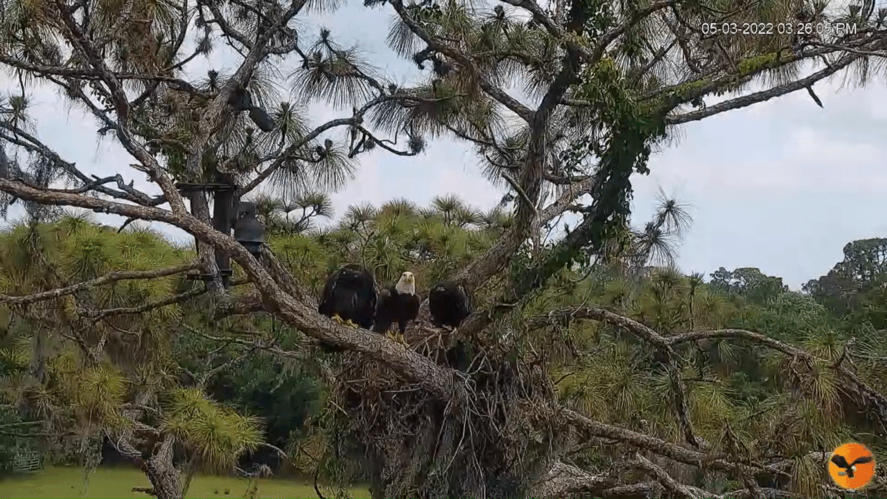 Webp.net-gifmaker (2)