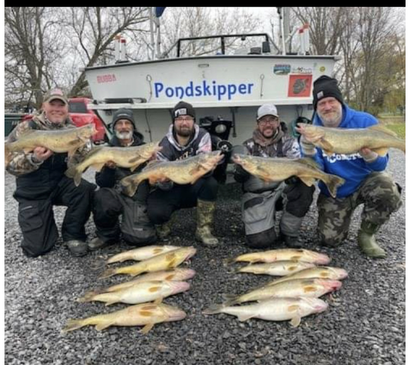 60A154A3-E6F2-4223-A42C-46A750FCBF84