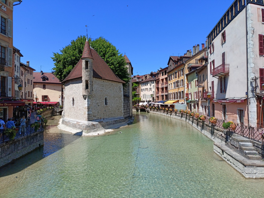 IMG20250711122351 (Large)