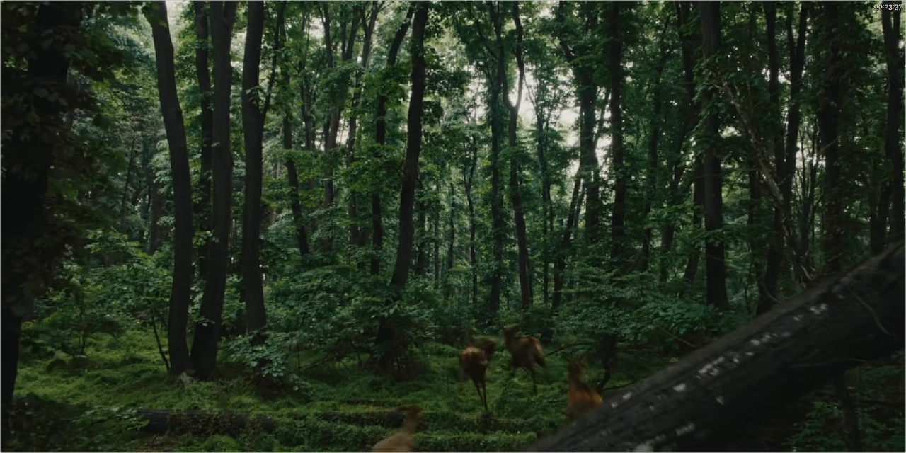 Robin Hood 2025 1x01 Io Lo Vedo ITA ENG 1080p MGMP WEBRip AAC x265 Pir8 mkv 0003 00 23 37