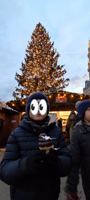 Adios Praga, hola Mercado del Ayuntamiento de Viena y concierto - Viena - Bratislava - Praga, Navidad 2024 (11)