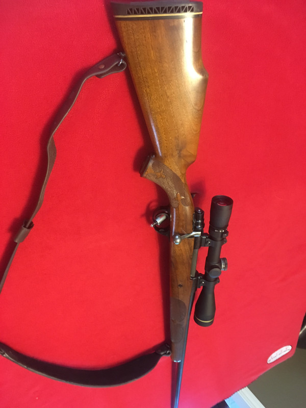 D8C190AE-E586-4282-BBD5-73A12BC9915C