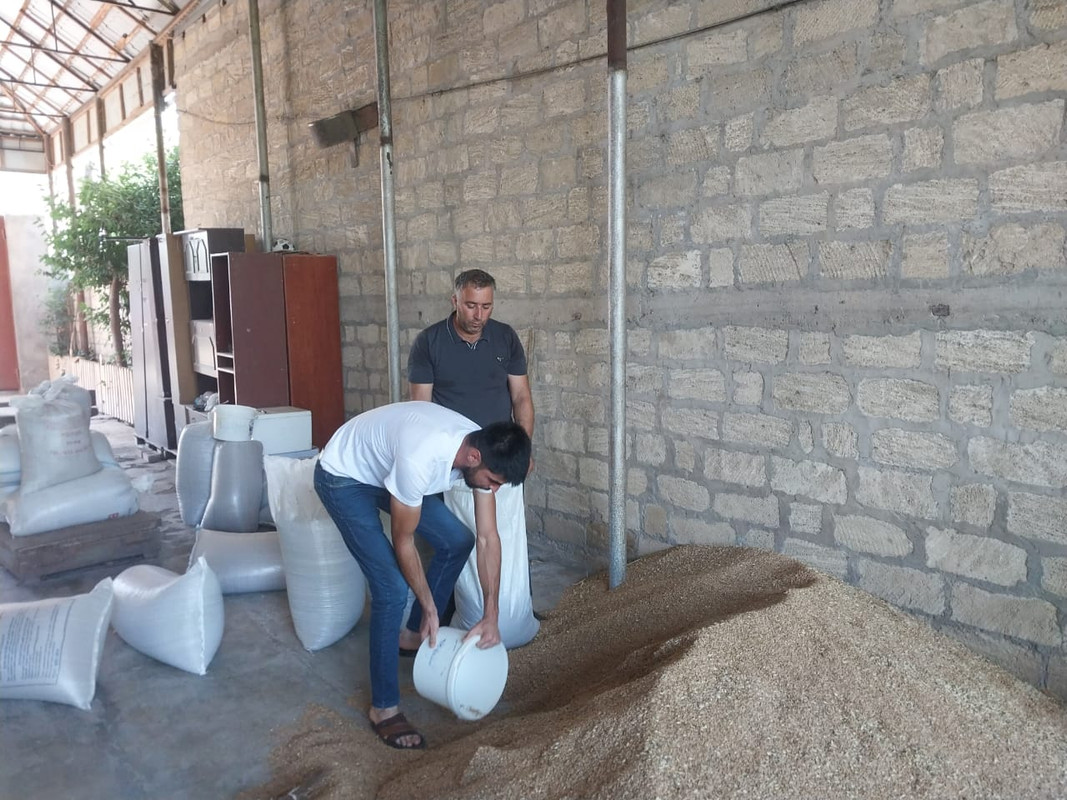 WhatsApp Image 2024-06-27 at 20.34.39 (1)