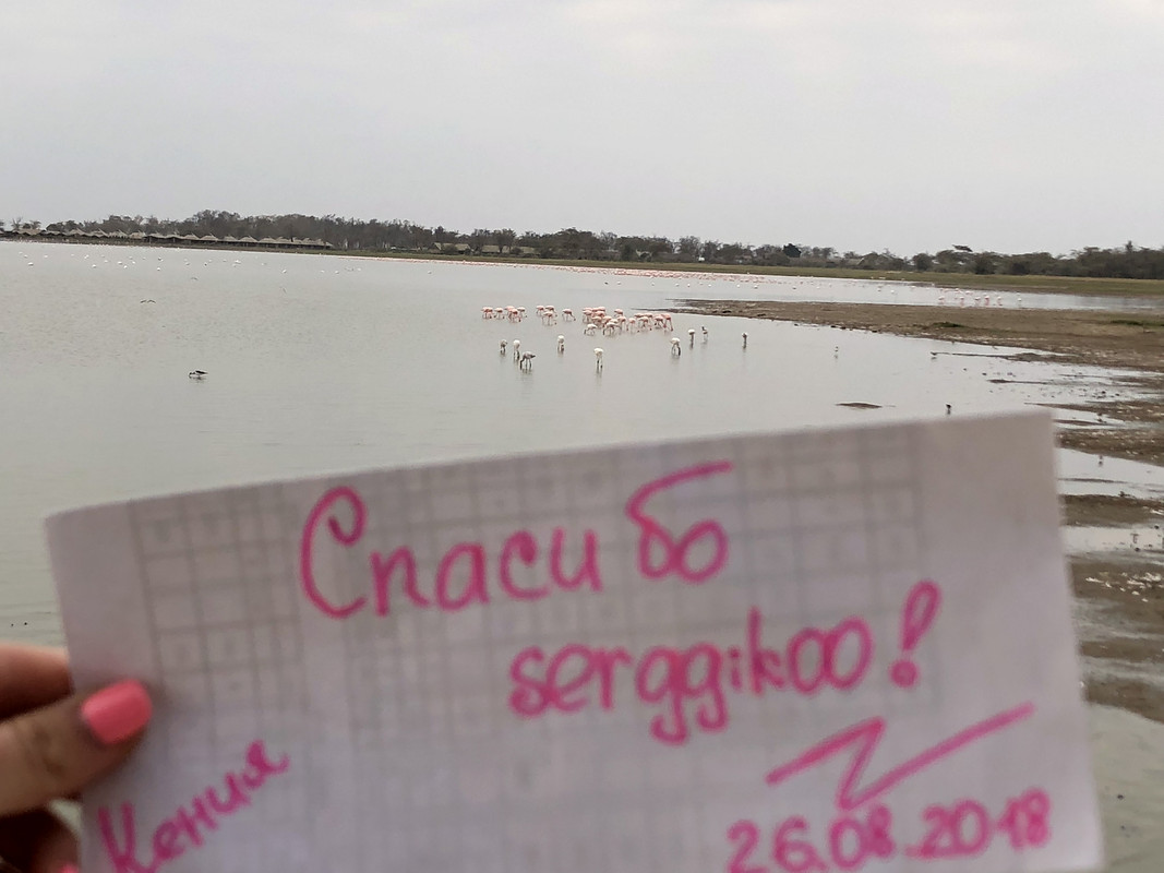 57C4FC3B-D56E-4A62-A725-805DC19D5E45