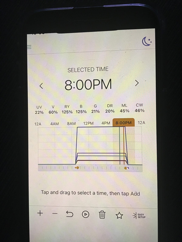 51234CA8-AD86-4124-B256-7163DB325B38