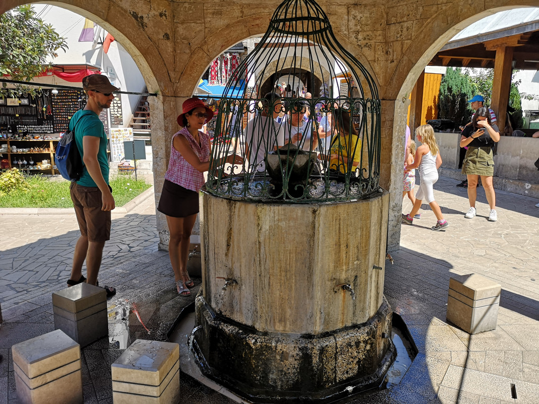 [Obrazek: IMG-20190804-141825.jpg]