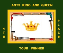 ants knq 4th