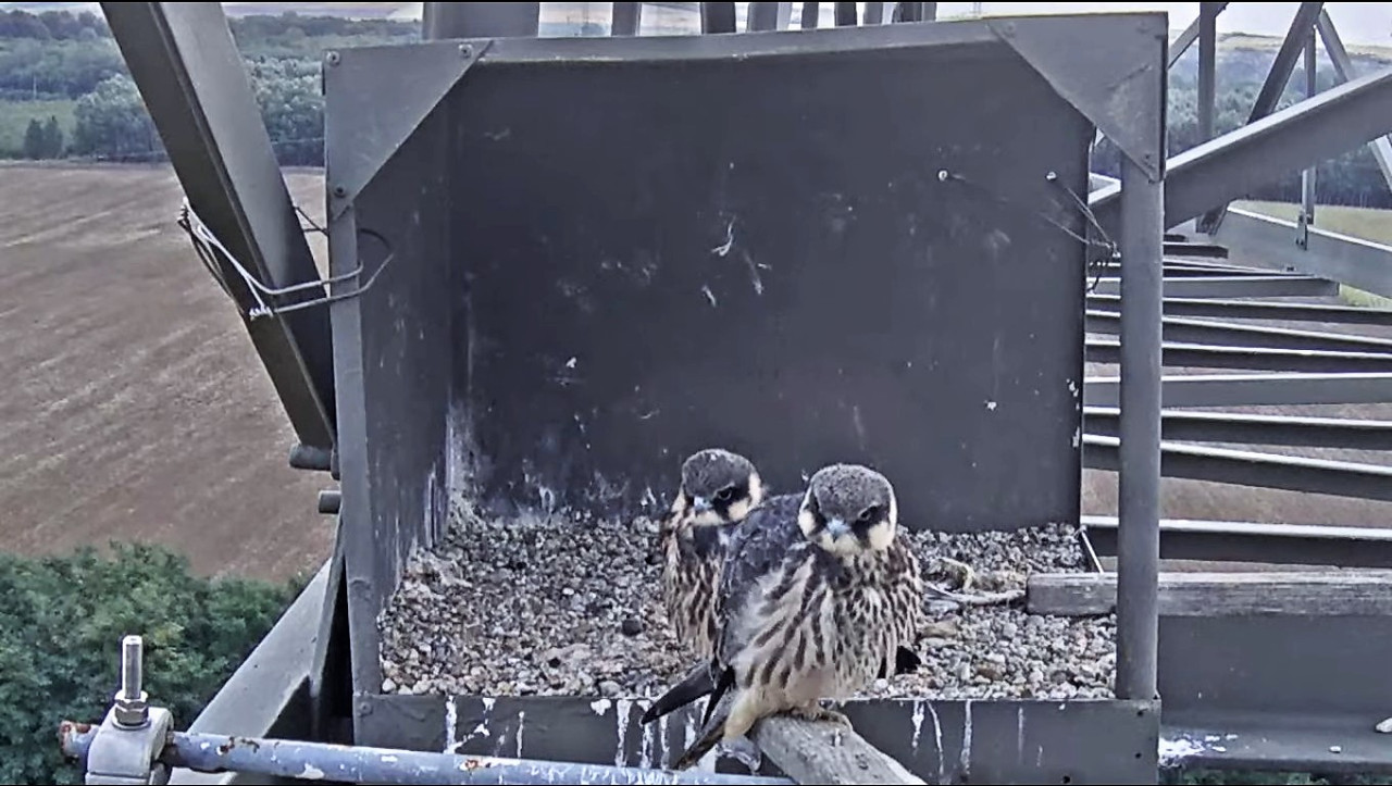 2021-08-26_190149 másolat