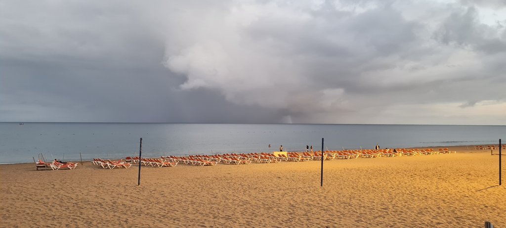 Gran Canaria: una paleta de colores - Blogs de España - Cocodrilo Park - Playa del Inglés - Arucas - Firgas (17)