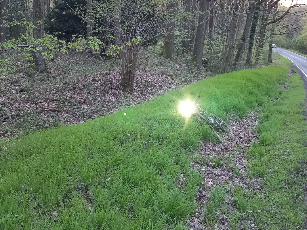 Bank and ditch at Button Bridge