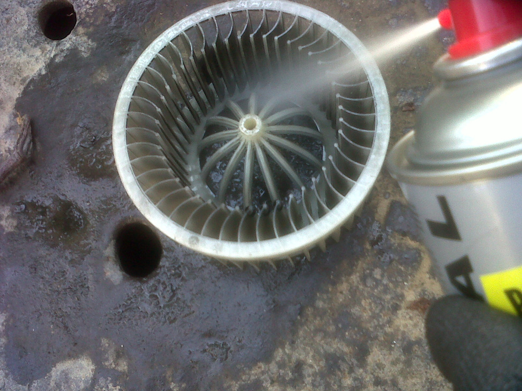IMG01519-20130826-1605
