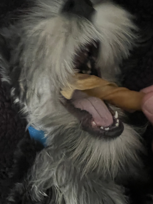 982AF2B9-B3CA-41E6-A3AE-7EFD73127A16