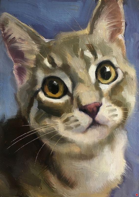 17