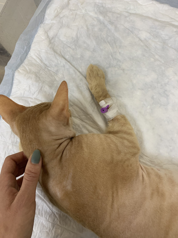 00F4D92C-D3F3-47FE-AAF7-50E4479CEDBC