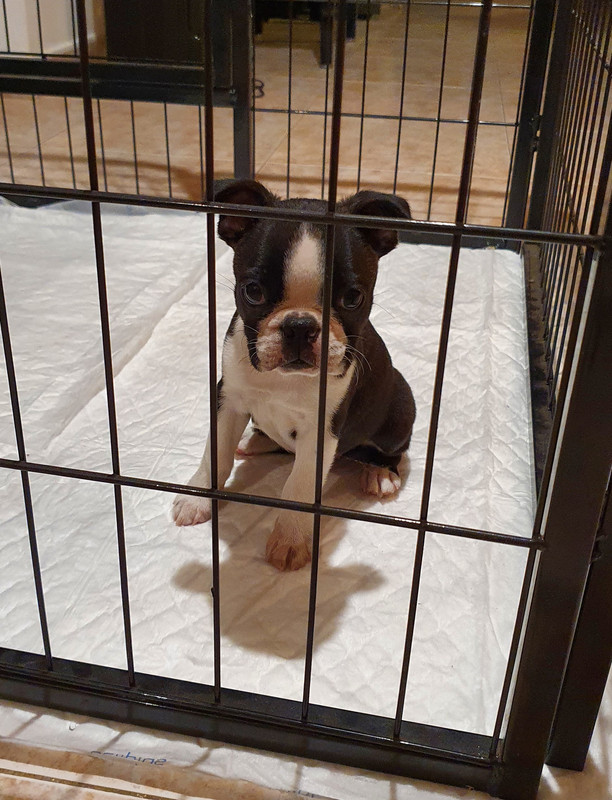 F1E0FB17-8B69-4D19-B00D-1F78CF4B2E72