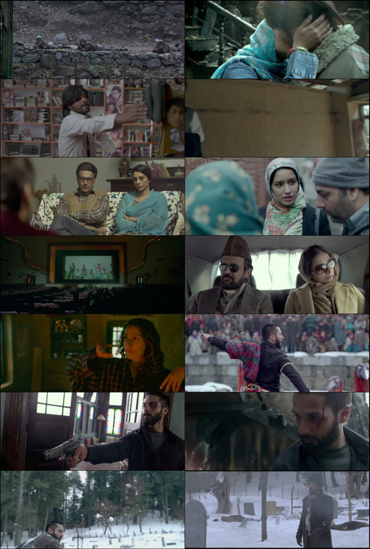 Haider (2014) 1080p | 720p | 480p BluRay [Hindi (हिन्दी)] DD5.1 ESub