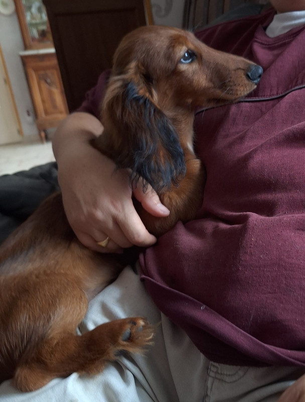 [Image: 20241025-143006.jpg]