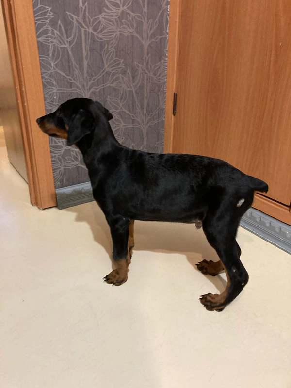 932F63D3-ED22-44A6-AA1F-0A34E182B0CA