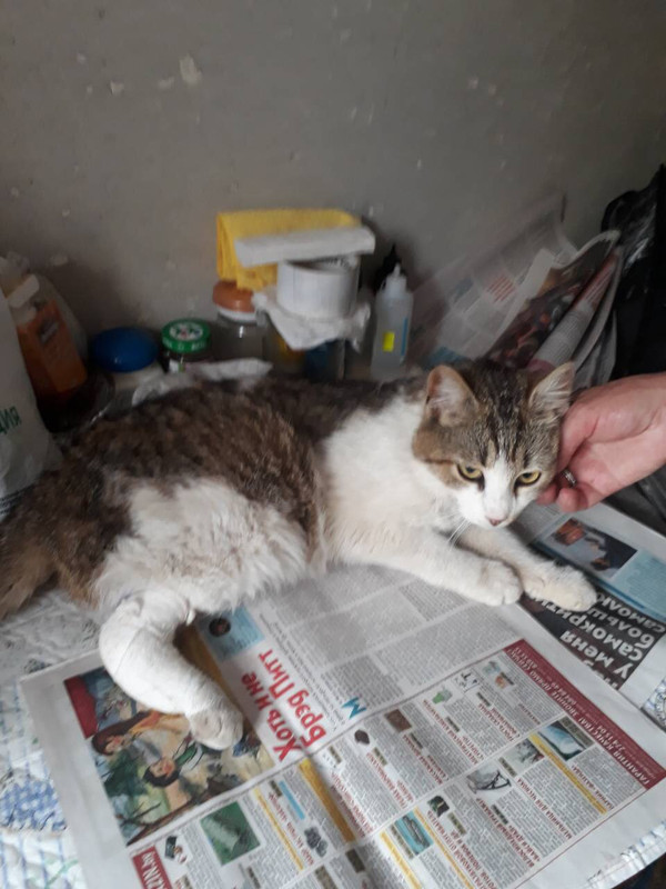 E277A262-65AD-4933-A57F-EA6B9538D654