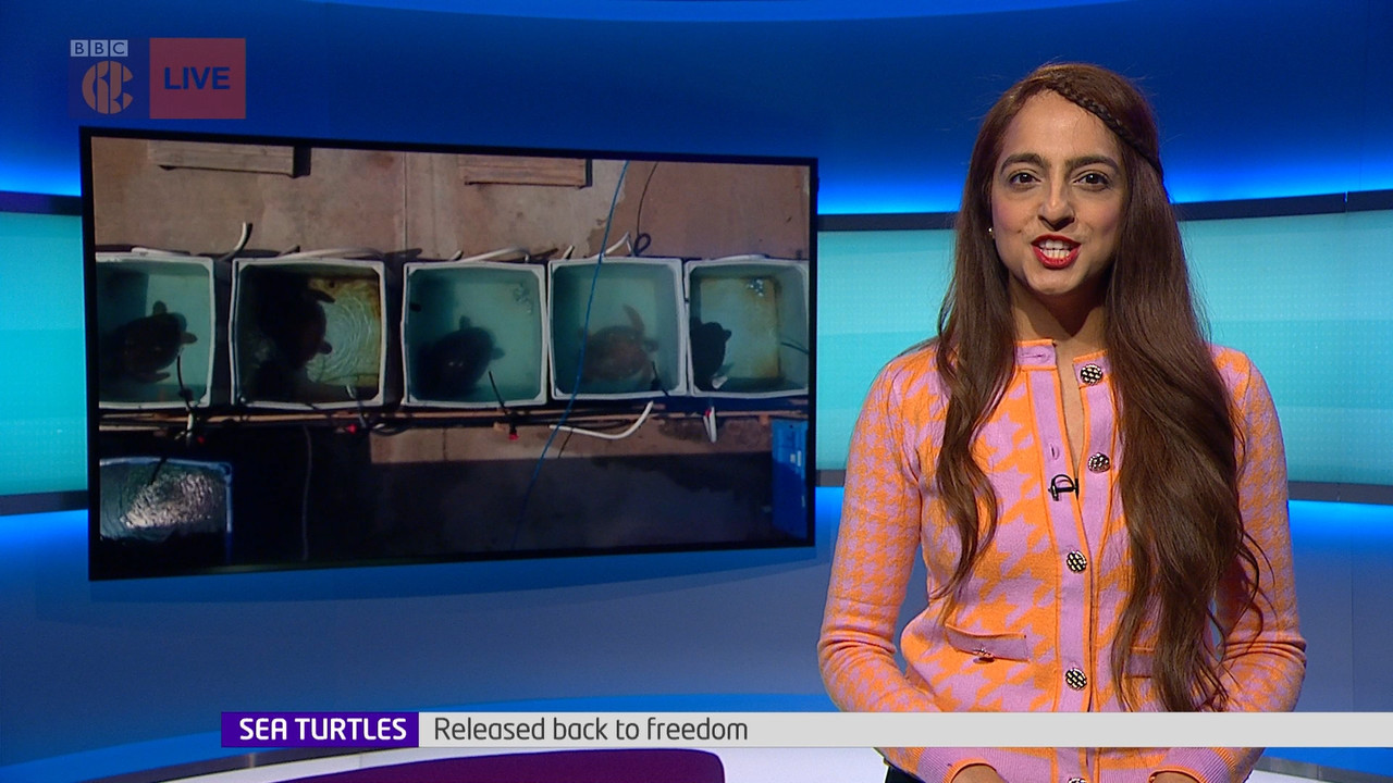 Newsround_20220319_07400750.ts_snapshot_06.42.934