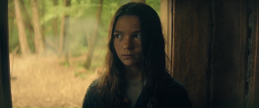 The Marsh King's Daughter 2023 BluRay [Hindi + English] 480p, 720p ESub Screenshot