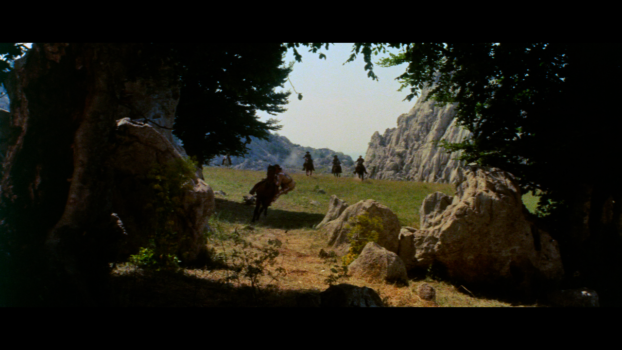 00003.mpls_snapshot_00.49.33_[2024.12.17_17.08.57]