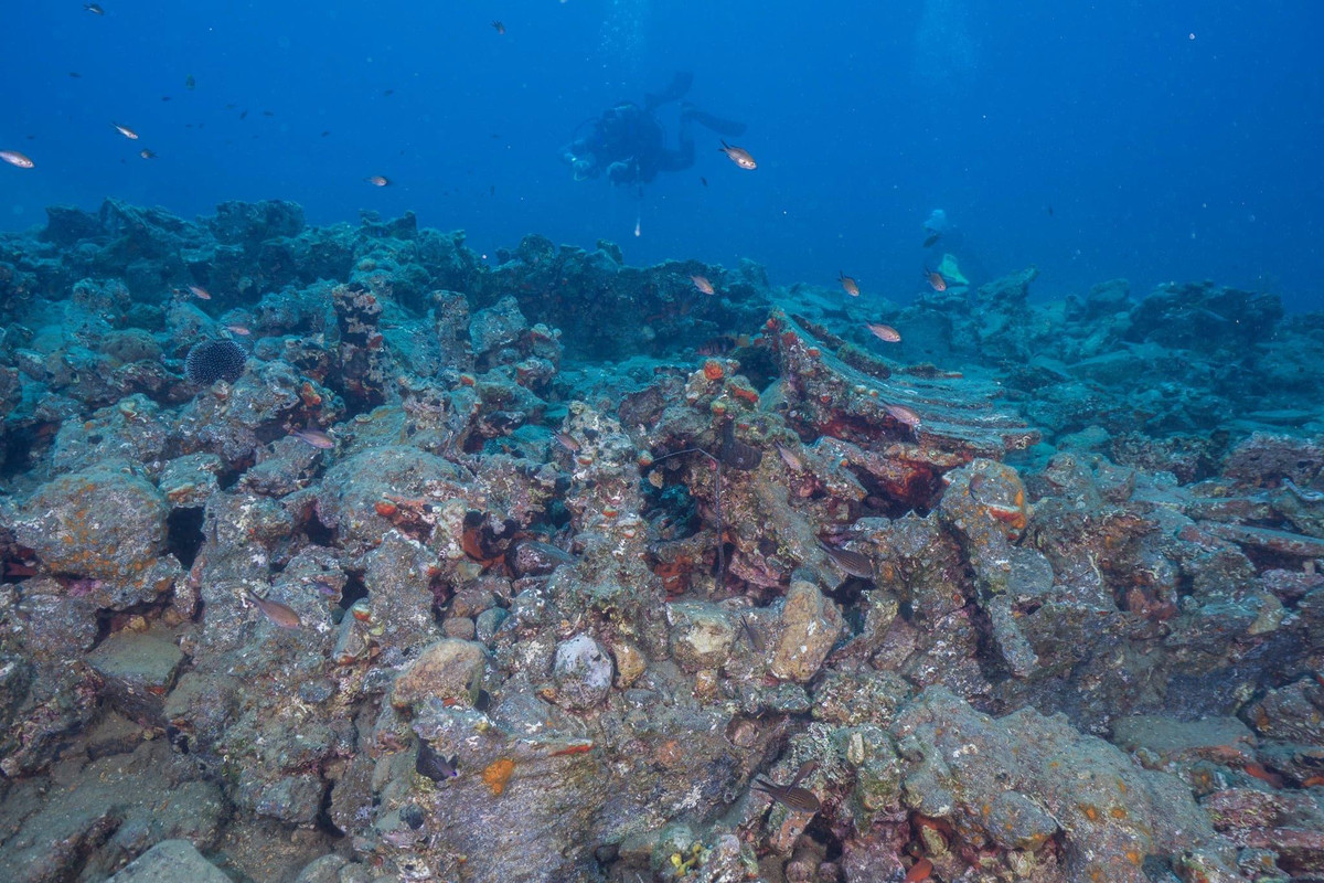 6F63BFF0-B45F-43D6-A0EB-026CF4F804C7