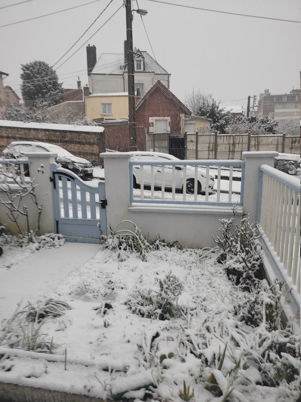 [Image: IMG-20260105-094039.jpg]