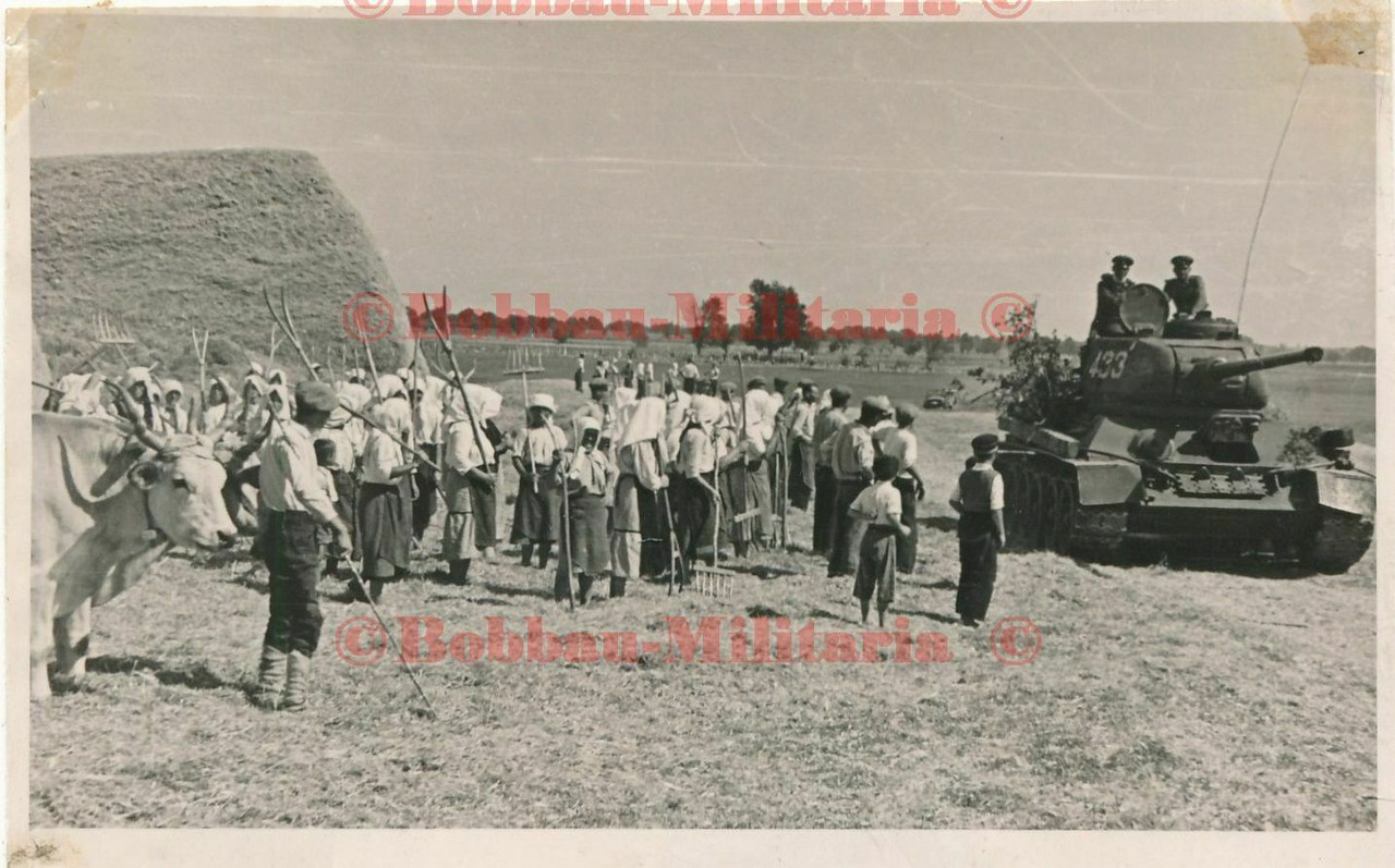 Foto russischer IS-1 Josef Stalin Beute Panzer mit weißer Turmnummer 433