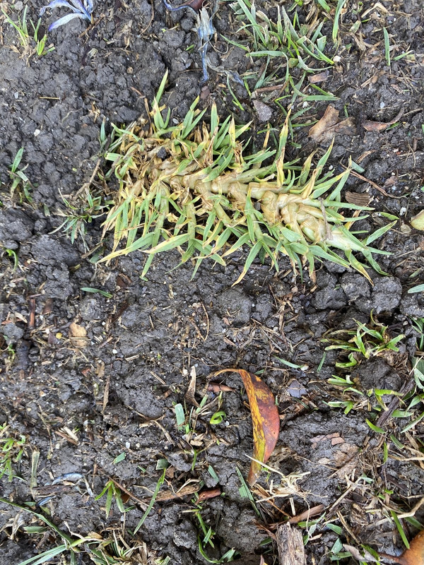 5EDC4479-8B6F-450B-A9EE-0044FA54C013