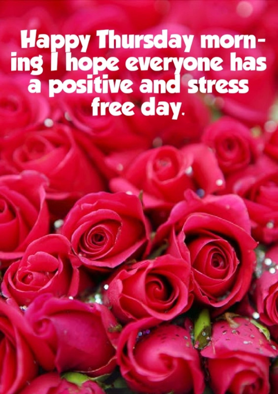 An den Beitrag angehängtes Bild: https://i.postimg.cc/SNL2Nbkg/oie-17754466-H9rc-F4-A.jpg