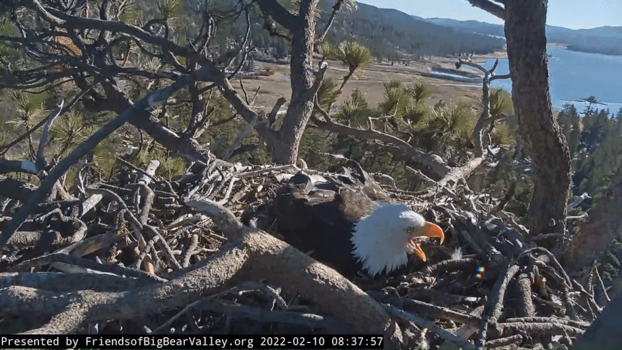 Webp.net-gifmaker (5)