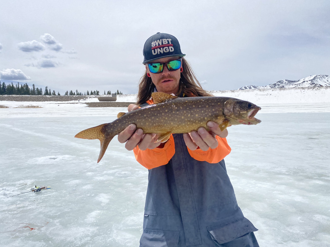 0E254BA9-5F85-4749-84F0-BD6247BAE7B5