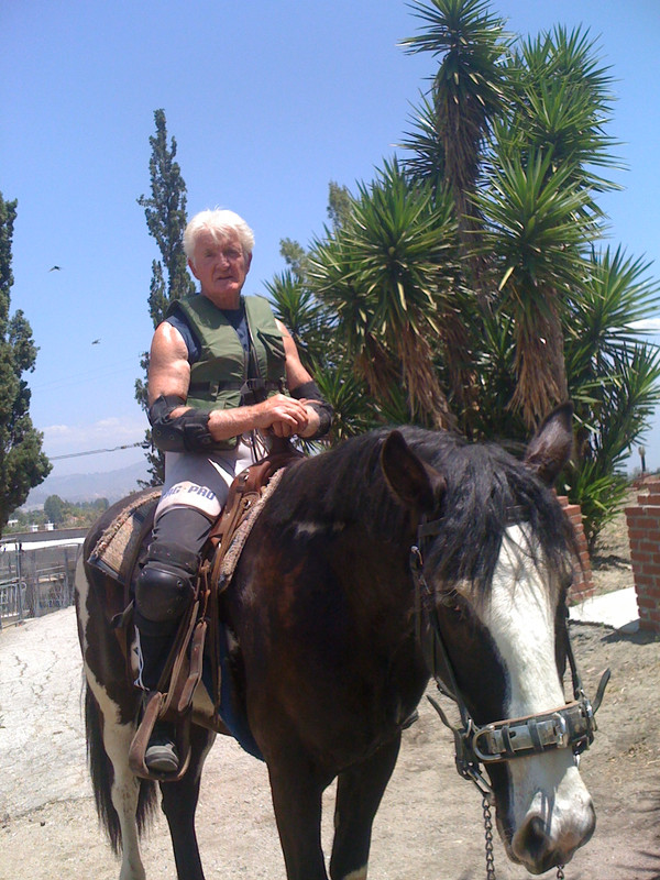 Killer Horse
