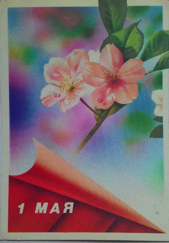 1462437076516-768x1106