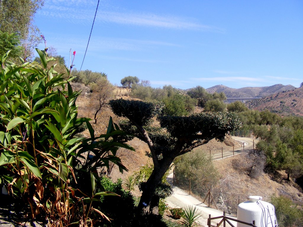 DSCF1222.jpg